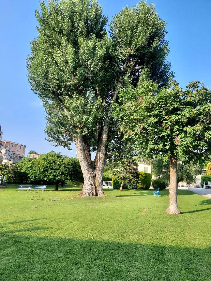Residenza Palmira Bardolino Apartamento Calmasino Exterior foto